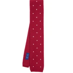 CRAVATTA TRICOT IN CASHMERE BORDEAUX Pois azzurro