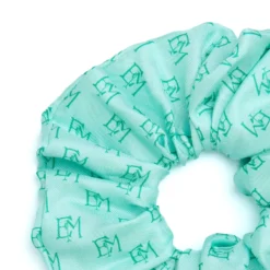 ELASTICO PER CAPELLI IN SETA VERDE CHIARO Em logo