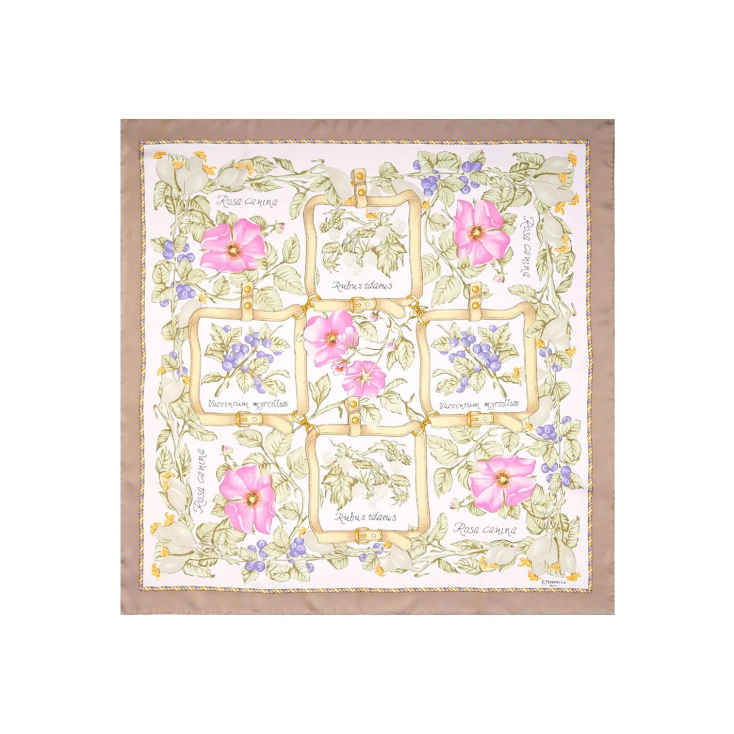 FOULARD IN SETA 90 BEIGE La rosa canina