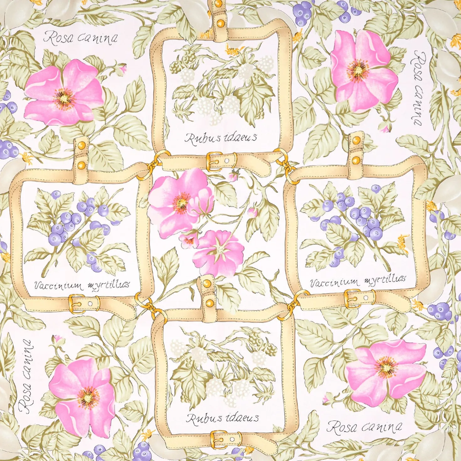 FOULARD IN SETA 90 BEIGE La rosa canina