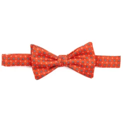 PAPILLON ANNODATO IN SETA ROSSO Microfantasia geometrica