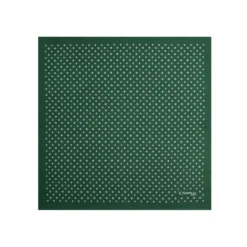 POCHETTE DA TASCHINO IN SETA STAMPATA A MANO VERDE SCURO Macrofantasia fiore